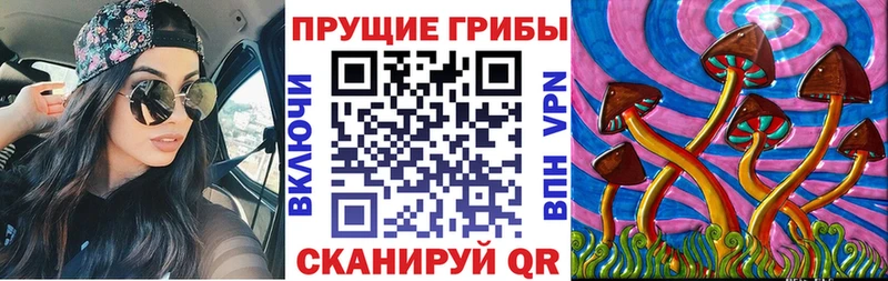 Псилоцибиновые грибы MAGIC MUSHROOMS  даркнет как зайти  Петровск  сколько стоит 